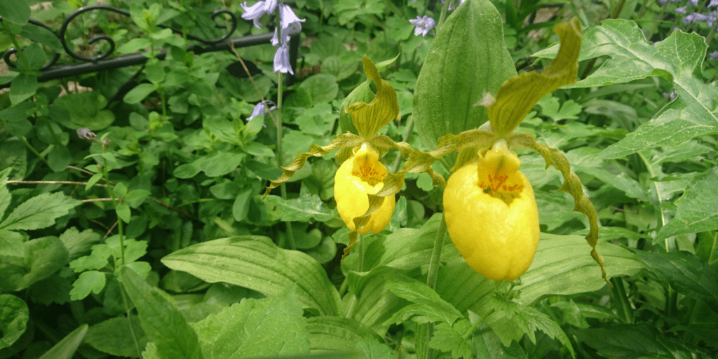 svg+xml,%3Csvg%20xmlns= Unsere Imkerei